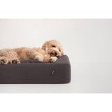 Tuft u0026 Needle Dog Bed – Large – Charcoal